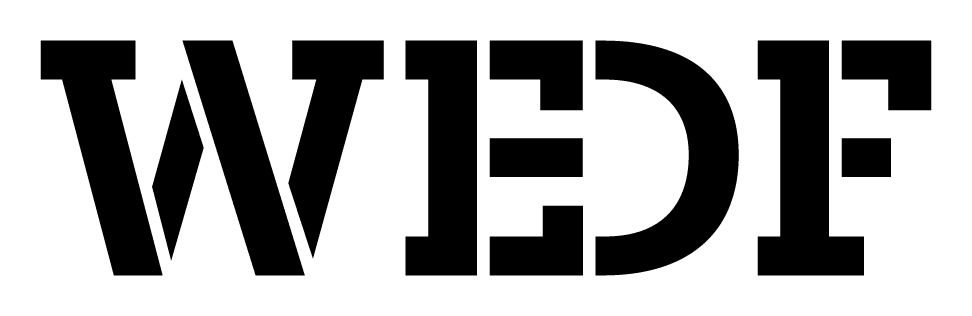 World Ethical Data Foundation logo
